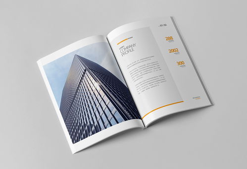 簡約大氣，專業(yè)信賴 商務(wù)咨詢與投資企業(yè)公司畫冊